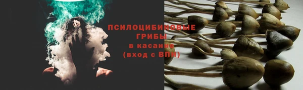 соль курить ск Армянск